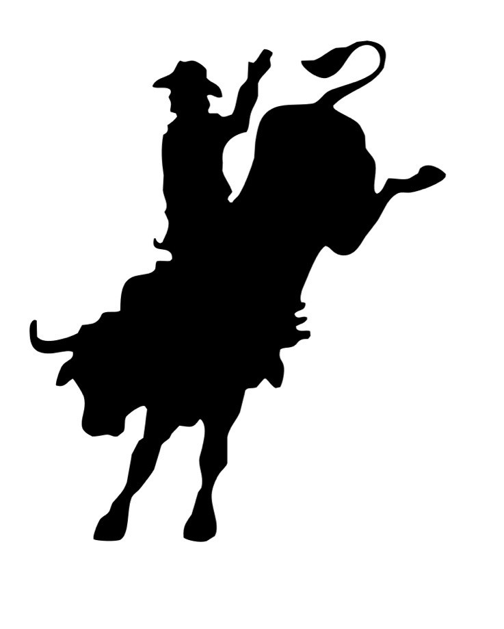 4x Cowboy Decals, Sticker, Vinyl, Southern, Rodeo, Horse, Cowgirl 4×3 Inch Each