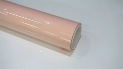 For Cybertruck PreCut Paint Protection Film Wrap Color Change – Lotus Root Pink