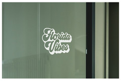 Florida Vibes Decal Sticker Vinyl Graphics – 6.5 x 3.9 inch