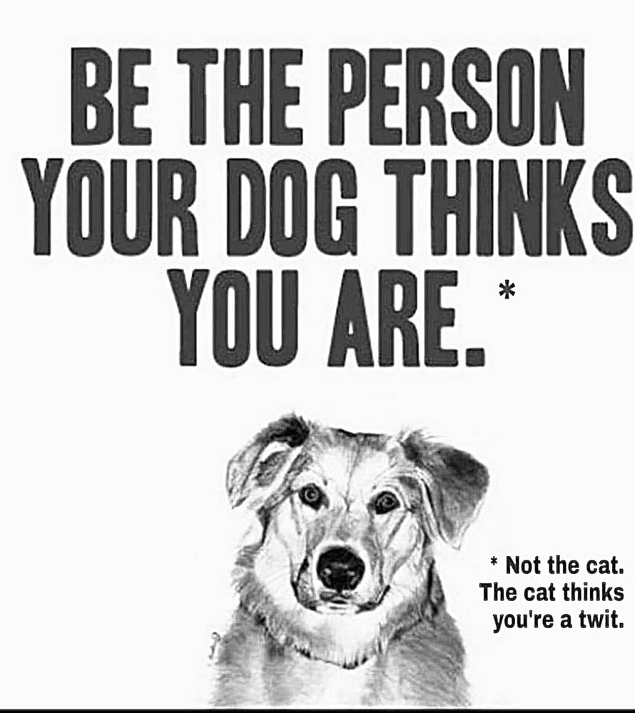 Funny Phone Sticker (2 Inch) Be The Person Your Dog Thinks You Are