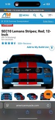SEC10 Lemans Stripes; Red; 12-Inch