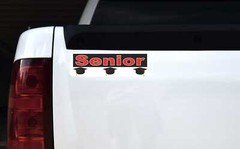 10in x 3in Senior Magnet