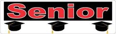10in x 3in Senior Magnet