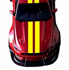 NEW 9″ Double Center Rally RACING STRIPES Vinyl Decal Car (Fits Ford MUSTANG)