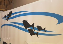 900mm Stripes with fish for boat, caravan , Ute , car , vehicle , trailer
