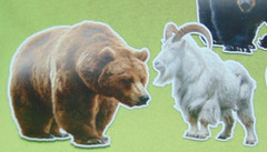 Once In A Lifetime Hunting Trophy Sticker Set Bear Goat Buffalo Vinyl