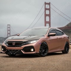 Rose Gold Vinyl Carl Wrap