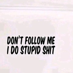 Dont Follow me, I do Stupid Sh*t! Funny Car Truck Window Sticker Decal US Seller