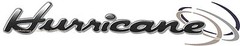 “HURRICANE” RV LOGO With Flairs Black/Grey Version other versions available