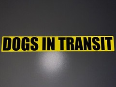 Reflective 30cm DOGS IN TRANSIT SOLO Security Car Van Truck Stickers Reflector