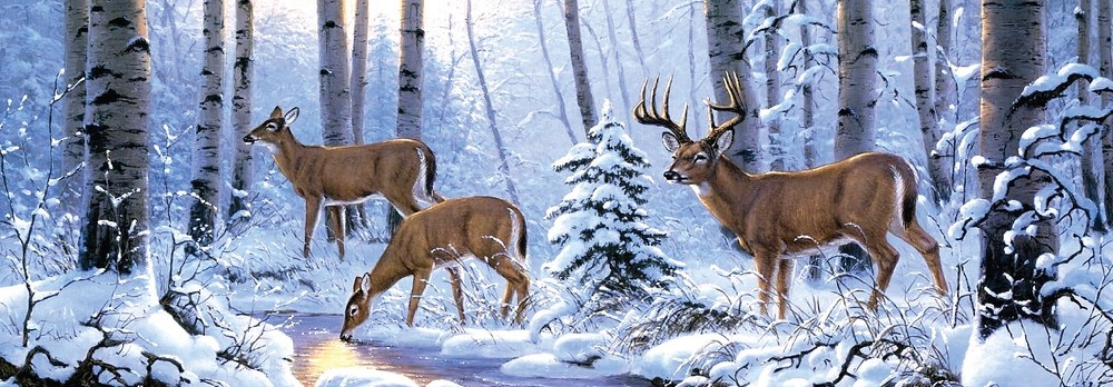 Tailgate Wrap Vinyl Graphic Decal Sticker Car Trunk DEER HUNTING BUCKS