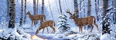 Tailgate Wrap Vinyl Graphic Decal Sticker Car Trunk DEER HUNTING BUCKS