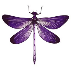 Purple Dragonfly Sticker Dark Love Grief Memorial Remembrance Loss (4 Inch)