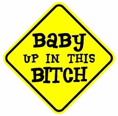 Baby Up In This Bitch Car Window Bumper Sticker Decal
