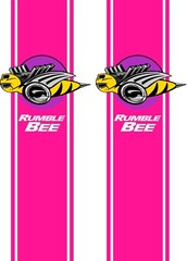 Fits Dodge Ram 1500 2500 3500 RUMBLE BEE Rear Side Rally Stripes Racing Sport
