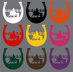Horse Barrel Racing Rodeo Cowgirl Horseshoe Car Truck Window Vinyl Decal Sticker