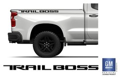 2019 20 21 22 23 24 Chevy Silverado 1500 Gloss Black Trail Boss Bedside Decals