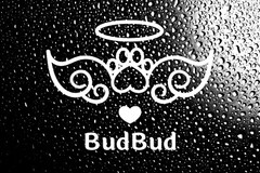 Personalized Pet Memorial Vinyl Decal Sticker – Custom Cat/Dog Angel Design