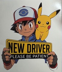 Pokemon New Driver