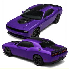 Challenger Shaker Stripes FULL SET -Fits 2009 2010 2011 2012 2013 2014 2015 2016
