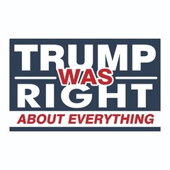 Trump Was Right About Everything Bumper Sticker / Decal