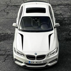 2 Pcs Universal Fit Racing Hood Stripes Decal Vinyl Stickers for Car SUV Truck