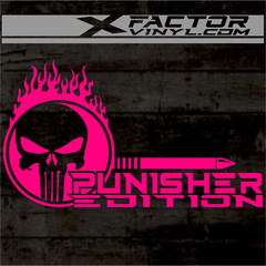 Flaming Skull Punishment Limited Edition Dicut Decal 2 Sizes FREE SHIPPING