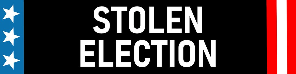 Stolen Election Bumper Sticker | Waterproof | Fade Resistant Ink