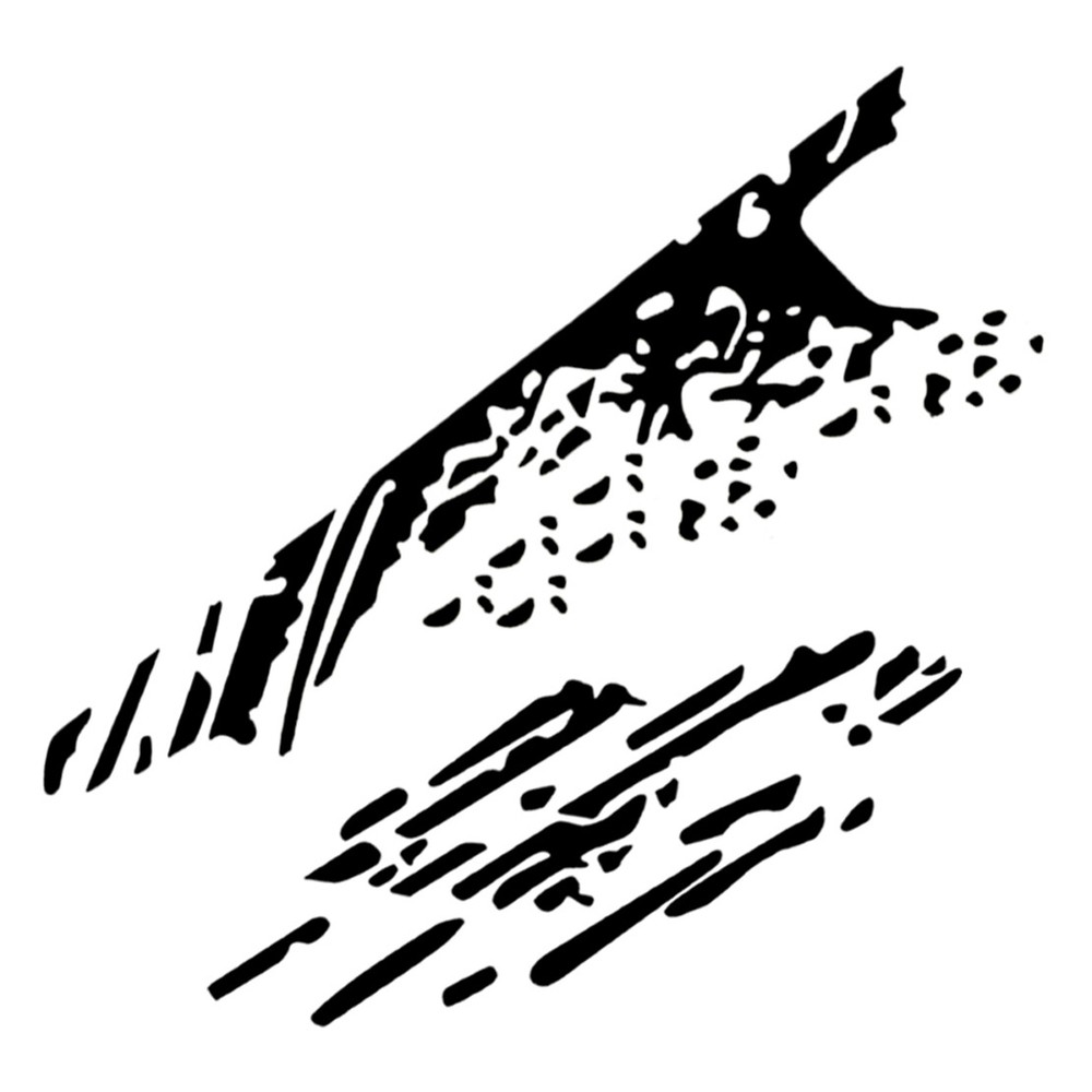 Decal Sticker Side Bed Mud Splash Kit For Ford Raptor F-150 Rear Tail 09-18