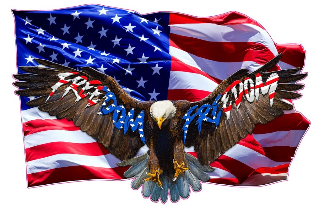 Soaring Bald Eagle American Flag Freedom Decal Large 36″ X 24″
