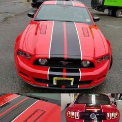 Ford MUSTANG 10″ DUEL Twin Vinyl Racing Stripes Decals 1/2″ Pinstriped 40 FEET