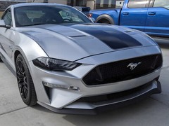 2019 Ford Mustang Hood Stripe With Pins Vinyl Decals Graphics Mach 1 Boss 2018