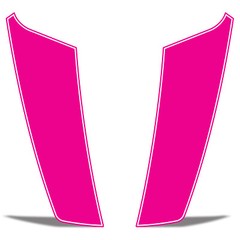 Hood Race Stripe kit for 2017 2018 2019 Ford Raptor F-150 Graphics Decals PINK