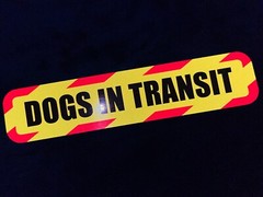 Reflective 30cm DOGS IN TRANSIT CHEVRON Car Van Pickup Truck Stickers Reflector