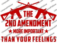 2nd Amendment,More Important Than your feeling,12×9,Gun Rights,Molon Labe,Decal