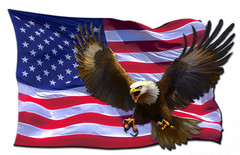 Red White and Blue American flag eagle decal