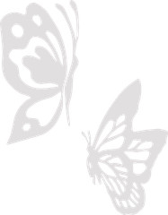 Two Butterflies Decal Laptop Sticker 42 different colors available