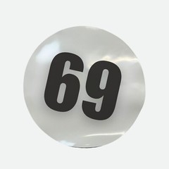 Pair of 12″ Magnetic Race Car Number 69 Circular Magnet
