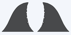 Shark fin decals (2) Right and left.
