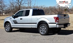 ELIMINATOR 2015-2020 Ford F-150 Side Door Low Hockey Stripe Vinyl Graphic Decal