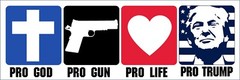 3×9 inch Magnetic Pro God Pro Gun Pro Life Pro TRUMP MAGNET (donald gop vote us)