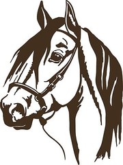 Horse Head Cowboy Pet Rodeo Western Car Truck Trailer Window Vinyl Decal Sticker
