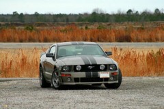 FOR All FORD MUSTANGS 5 INCH Duel Racing Stripes Vinyl Graphic Decal 30 FEET