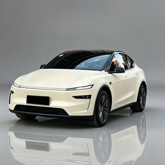 Tesla Model Y 2025-UP PreCut PPF Paint Protection Film PET Wrap Kit Pepper White