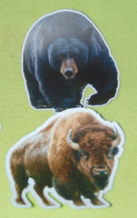 Once In A Lifetime Hunting Trophy Sticker Set Bear Goat Buffalo Vinyl