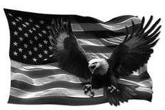Red White and Blue American flag eagle grayscale decal