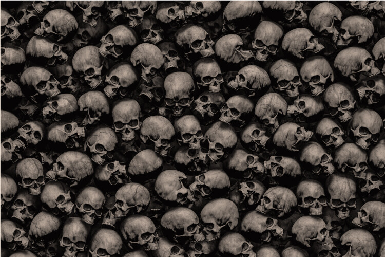 Beige 3D Skulls Pile 24×36 Graphic Decal Vinyl Scooter Bike Motorcycle Car Wrap