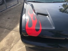 Flame Vinyl Graphic (15 Colors) Universal Fit 12″ x 40″ Pair of 2 Fits All Cars