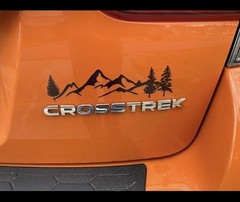 Mountain Pine Tree Decal Sticker for Car Truck Camper RV Window Forest Nature NW
