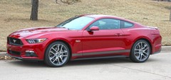 STALLION ROCKER 1 Lower Door Panel Stripes Decal 3M Vinyl 2015-2017 Ford Mustang